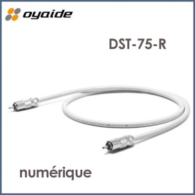 Oyaide DST-75 R V2 câble numérique