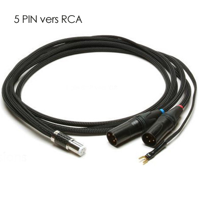 Acoustic Revive ANALOG câble phono 5 pin vers XLR