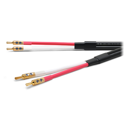Oyaide Across 3000 SGB câble haut parleur
